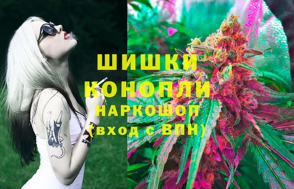 дживик Аркадак