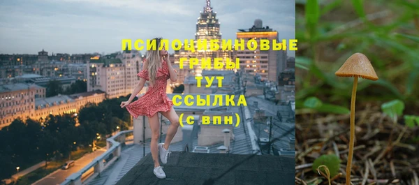 дживик Аркадак