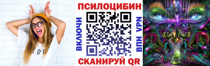 Купить закладки  Шарья  Галлюциногенные грибы Cubensis 