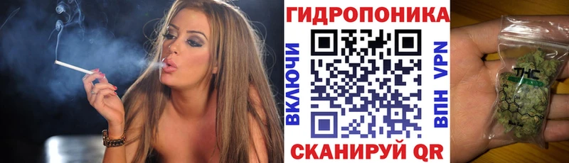 Шишки марихуана конопля  Купить закладки  Шарья 